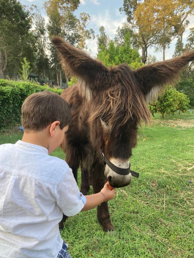 Quintinha Silvestre Villa Tondela Luaran gambar