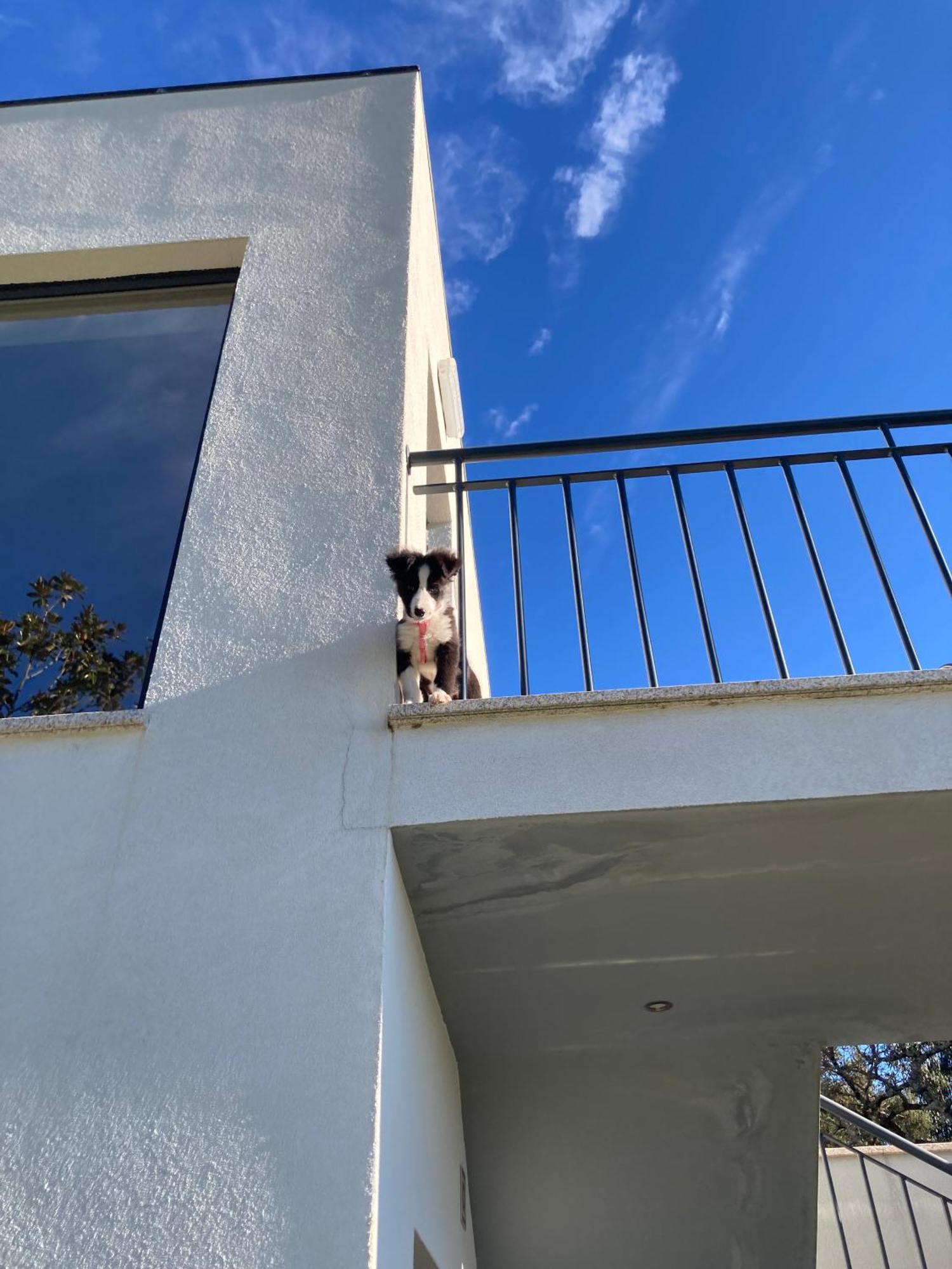 Quintinha Silvestre Villa Tondela Luaran gambar